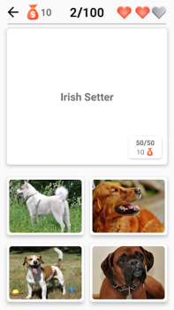 Races de chiens - Quiz!