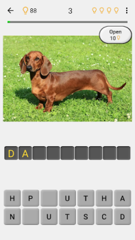 Chiens - Quiz sur les races