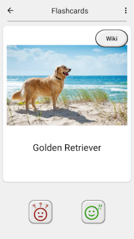 Chiens - Quiz sur les races