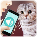 Télécharger  Переводчик на кошачий язык