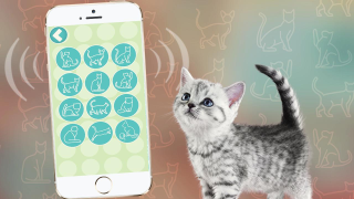 Télécharger Переводчик на кошачий язык Divertissement pour Android Capture d'écran 2