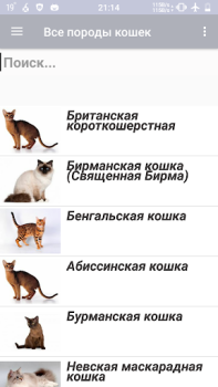 Télécharger Все породы кошек Livres et guides pour Android Capture d'écran 2