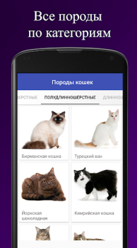 Télécharger Породы кошек. Справочник пород Livres et guides pour Android Capture d'écran 2