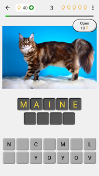 Chats - Quiz sur les races