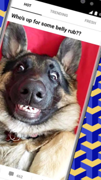 Télécharger 9GAG: Funny GIF, Meme & Video Divertissement pour Android Capture d'écran 2