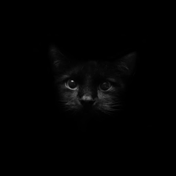 Télécharger Black Live Wallpaper Personnalisation pour Android Capture d'écran 5