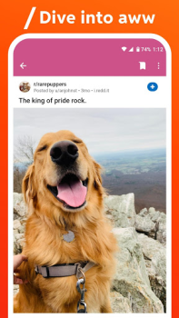 Télécharger Reddit Actualités et magazines pour Android Capture d'écran 5