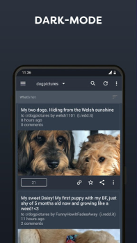 Télécharger BaconReader for Reddit Actualités et magazines pour Android Capture d'écran 2