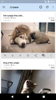 Télécharger rif is fun for Reddit Actualités et magazines pour Android Capture d'écran 3