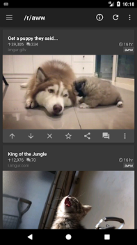 Télécharger rif is fun for Reddit Actualités et magazines pour Android Capture d'écran 4