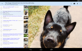 Télécharger rif is fun for Reddit Actualités et magazines pour Android Capture d'écran 7