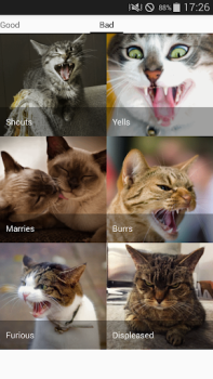 Télécharger Cat sounds - play with cats Divertissement pour Android Capture d'écran 4