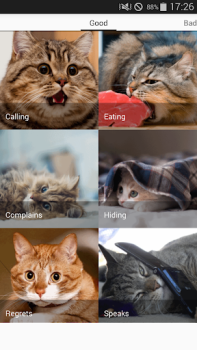 Télécharger Cat sounds - play with cats Divertissement pour Android Capture d'écran 5