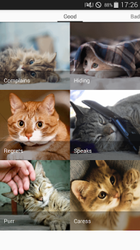 Télécharger Cat sounds - play with cats Divertissement pour Android Capture d'écran 6