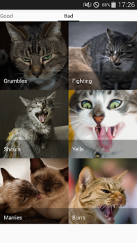 Télécharger Cat sounds - play with cats Divertissement pour Android Capture d'écran 7
