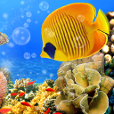 Télécharger  Aquarium Fond d'Écran Animé