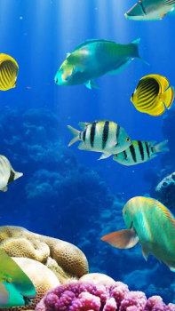 Télécharger Aquarium Fond d'Écran Animé Personnalisation pour Android Capture d'écran 3