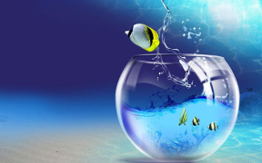 Télécharger Aquarium Fond d'Écran Animé Personnalisation pour Android Capture d'écran 7