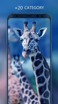 Télécharger Fonds d'écran de haute qualité Personnalisation pour Android Capture d'écran 2