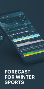 Télécharger Windy.app - Prévisions de vent Météo pour Android Capture d'écran 4