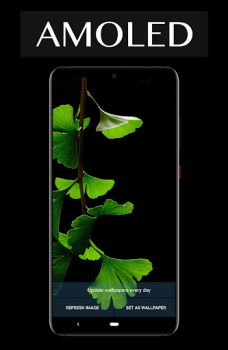 Télécharger Auto AMOLED Wallpapers - Daily Personnalisation pour Android Capture d'écran 3