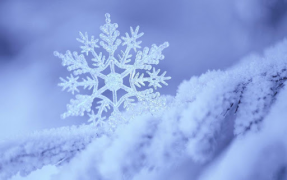 Télécharger Falling Snow Live Wallpaper (live background) Personnalisation pour Android Capture d'écran 4