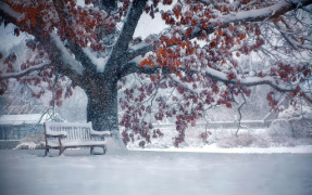 Télécharger Falling Snow Live Wallpaper (live background) Personnalisation pour Android Capture d'écran 6