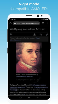 Télécharger Kiwi Browser - Navigateur Communication pour Android Capture d'écran 3
