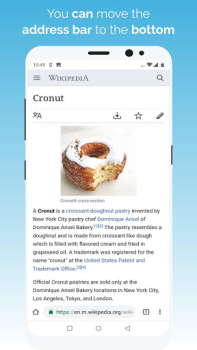 Télécharger Kiwi Browser - Navigateur Communication pour Android Capture d'écran 4