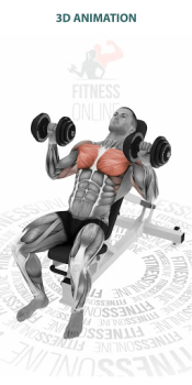 Télécharger Programme Musculation, Fitness Santé et forme physique pour Android Capture d'écran 4