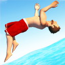 Télécharger  Flip Diving