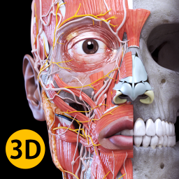 Logo Anatomie - Atlas 3D