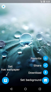 Télécharger Pissenlit fond d'écran animé Personnalisation pour Android Capture d'écran 6