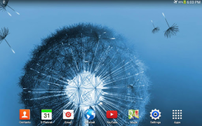 Télécharger Pissenlit fond d'écran animé Personnalisation pour Android Capture d'écran 7