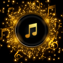 Télécharger  Pi Music Player: Offline Music