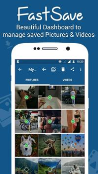 Video Downloader for Instagram