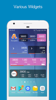 Télécharger Podomètre Accupedo Santé et forme physique pour Android Capture d'écran 7