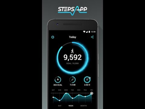Télécharger StepsApp Podomètre Santé et forme physique pour Android Capture d'écran 6