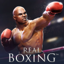 Télécharger  Real Boxing