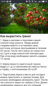 Télécharger Дача и огород Хитрости Советы Livres et guides pour Android Capture d'écran 3