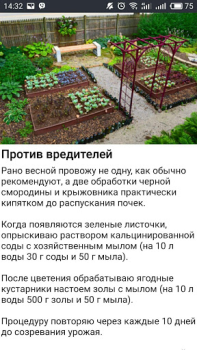Télécharger Дача и огород Хитрости Советы Livres et guides pour Android Capture d'écran 6