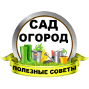Télécharger  Сад и огород Полезные советы
