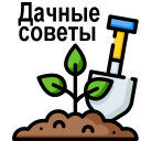 Télécharger  Сад и огород полезные советы