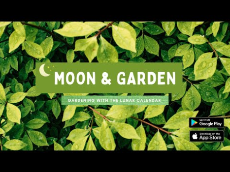 Télécharger Lune & Jardin Mode de vie pour Android Capture d'écran 8