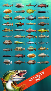 Let's Fish: Jeu de Pêche