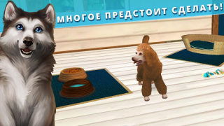 Télécharger Pet Hotel - Hôtel pour animaux Simulateurs pour Android Capture d'écran 4