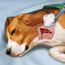 Télécharger  Operate Now: Animal Hospital