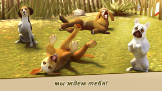 Télécharger DogHotel – Jeu avec des chiens Simulateurs pour Android Capture d'écran 3