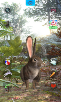 Parler le lapin