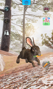 Parler le lapin